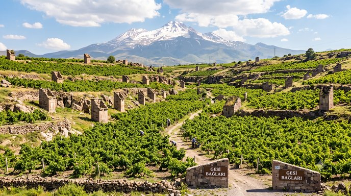 Gesi Bağları Türküsü'nün Kahramanı Necmiye Hanım makalesinin görseli